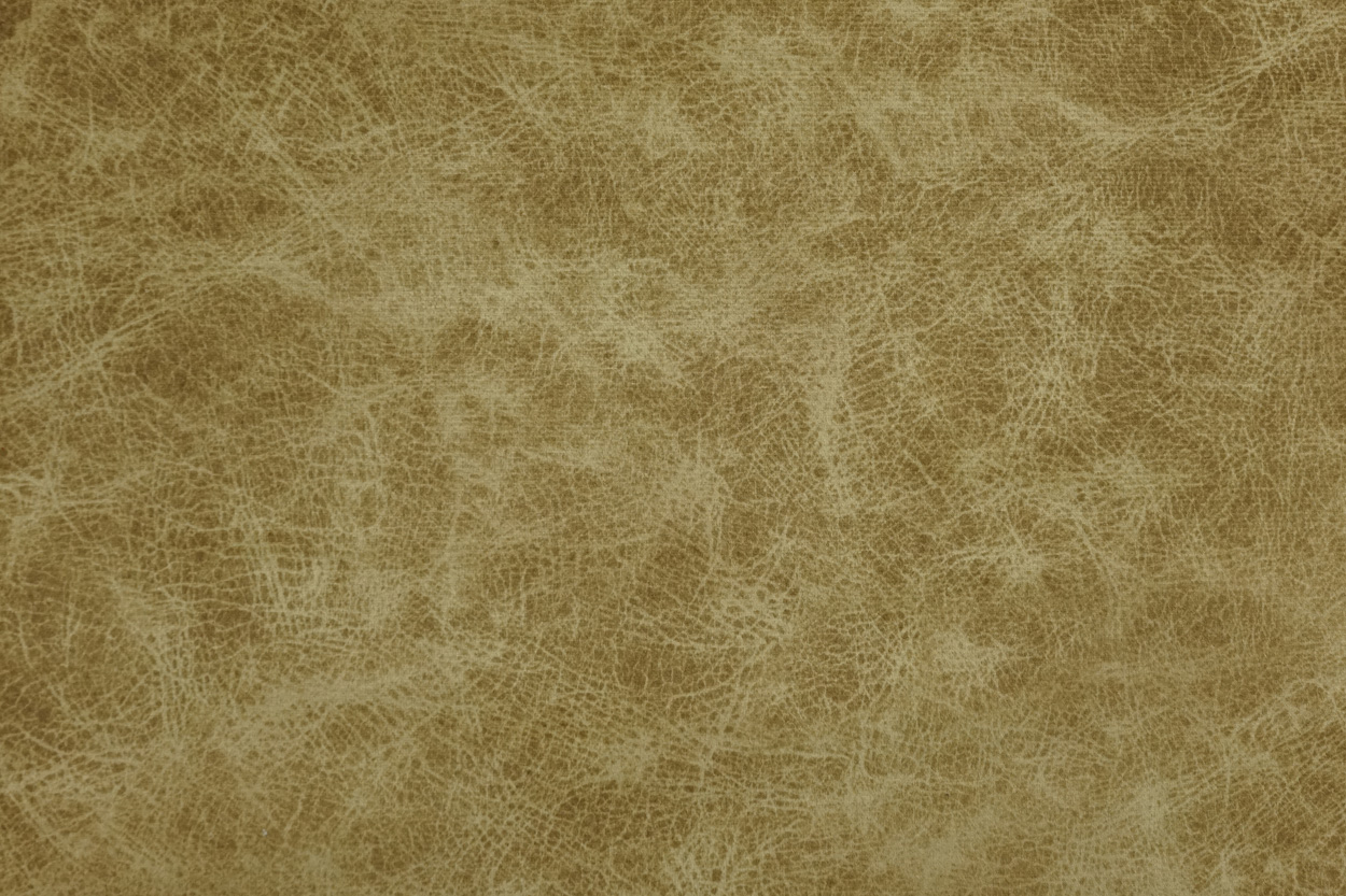 China Waterproof Washable Printed Upholstery Fabrics With Patterns
