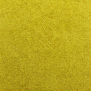 Luxury Printed Velvet Sofa Upholstery Hometextiles Fabric 
